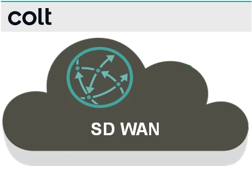   Fibre SdWan  100Mb FIBRE 100Mb SDWAN [Colt Network], dbit symtrique, ddi, garanti 100% 